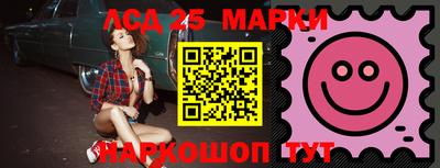индика Можайск