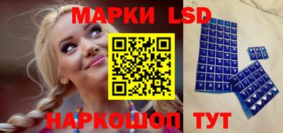 индика Можайск