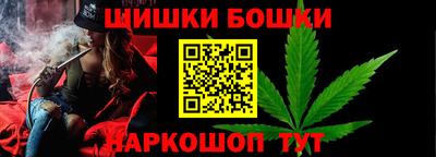 индика Можайск