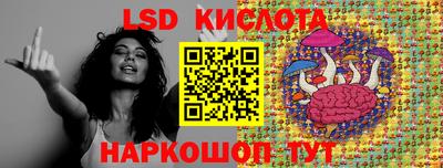 индика Можайск