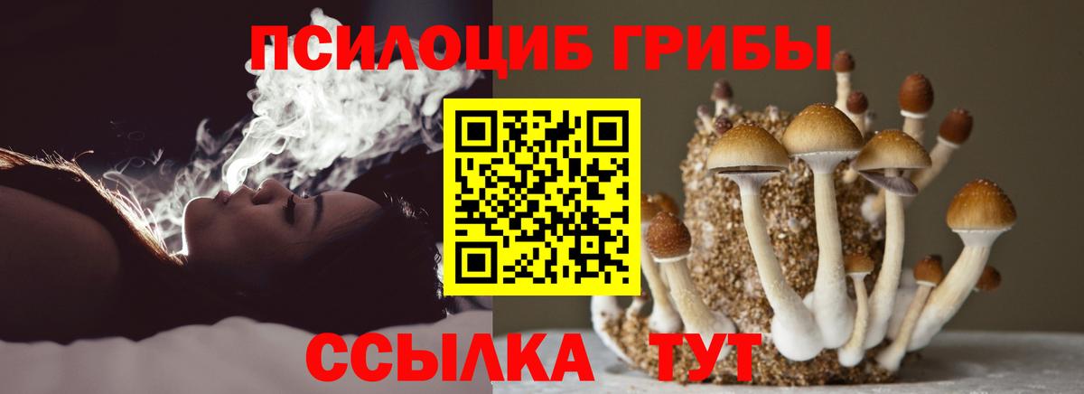 Галлюциногенные грибы Magic Shrooms  Вход с VPN  где найти наркотики  Хасавюрт 